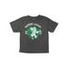 Super Mario Toddler Boys Gray Super Lucky St Patrick's Day T-Shirt Tee Shirt