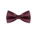 Formal Polka Dots Pre-Tied Bow Ties for Men Women Bowtie Classic Design