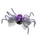 Way to Celebrate Purple Spider Clip for adult, 1pc/pack