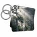 3dRose Usa, New Hampshire, White Mountains. Sun rays through pine trees. - Key Chains, 2.25 by 2.25-inch, set of 2