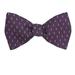 Men's Purple Silk Pattern Self Tie Bowtie Tie Yourself Bow Ties