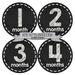 Months in Motion 433 Monthly Baby Stickers Baby Boy or Baby Girl Chalkboard White