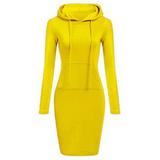 Women Pullover Sweatshirt Dress Turtleneck Long Sleeve Tunic Dress Autumn Winter Dress