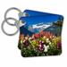 3dRose Flowers at Lake Louise, Banff National Park, Alberta, Canada - Key Chains, 2.25 by 2.25-inch, set of 2