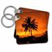 3dRose Sunset with Palm Tree - Key Chains, 2.25 by 2.25-inch, set of 2