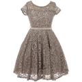 Big Girl Cap Sleeve Floral Lace Glitter Pearl Holiday Party Flower Girl Dress Silver 8 JKS 2102 BNY Corner