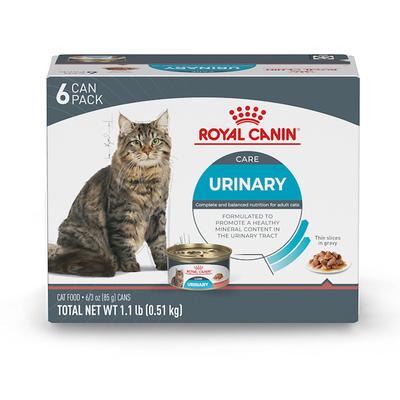 Royal Canin Feline Urinary Care Thin Slices in Gravy Wet Cat Food Multipack, 3 oz., Count of 6