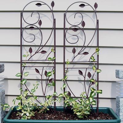 Outdoor Garden Plant Design Trellis for Growing Plants and Vegetables - Set of 2