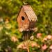 Country Style Iron Birdhouse Stake "Cottage"