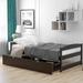 Twin Size Wooden Platform Bed with Two Drawers,Brown