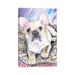 East Urban Home Cream French Bulldog Puppy by George Dyachenko - Wrapped Canvas Painting Print Metal in Brown/Gray | 60 H x 40 W x 1.5 D in | Wayfair