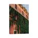 East Urban Home Roman Architecture IX by Bethany Young - Wrapped Canvas Photograph Print Canvas in Green/Orange | 12 H x 8 W x 0.75 D in | Wayfair