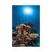 East Urban Home Reef & Sunshine by Barathieu Gabriel - Wrapped Canvas Photograph Canvas | 12 H x 8 W x 0.75 D in | Wayfair