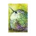 East Urban Home Hummingbird by Patricia Lintner - Wrapped Canvas Painting Canvas | 26 H x 18 W in | Wayfair 57A97DE5A2E34FC9BCC550DC03871807