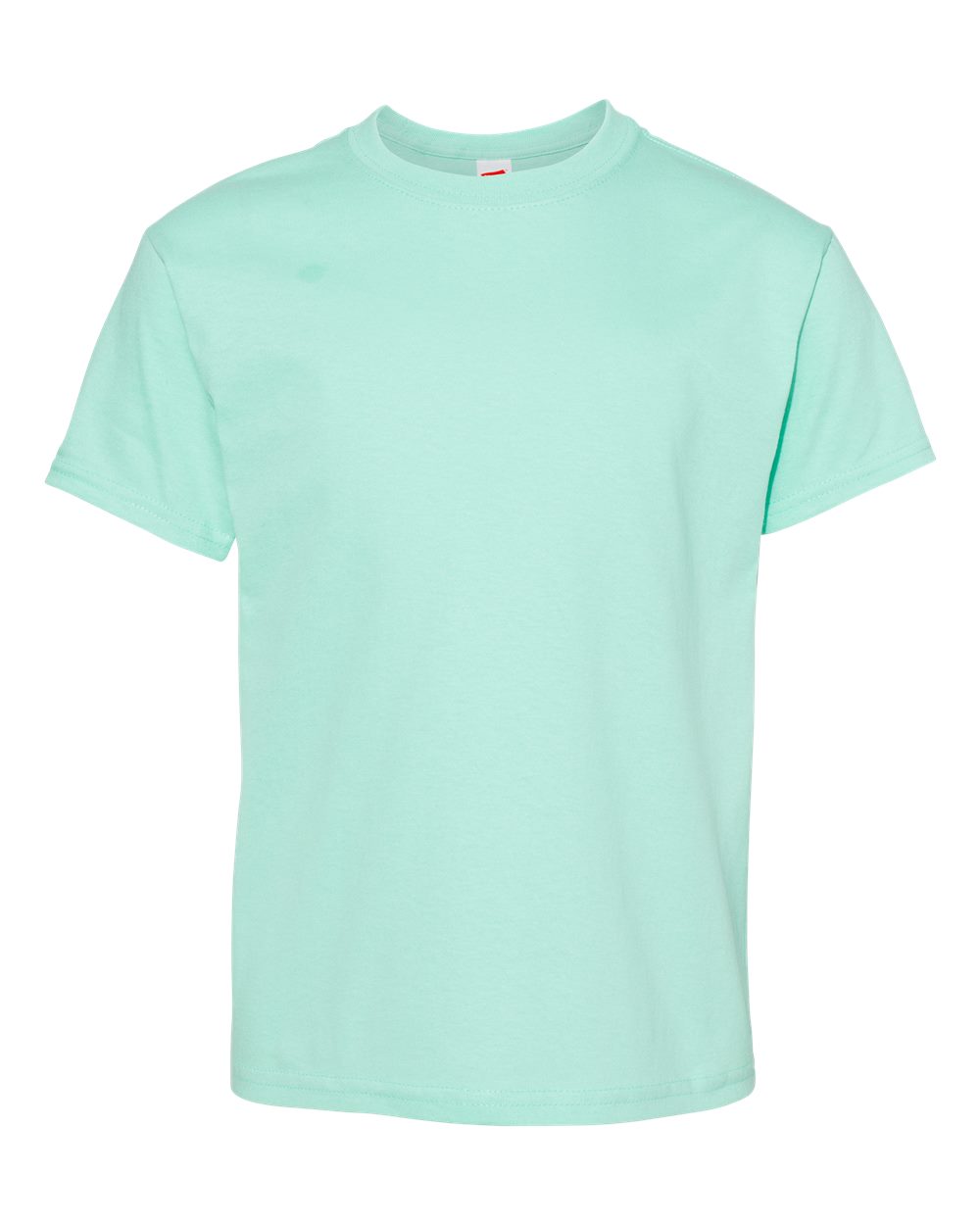 Hanes 5480 Youth Essential-T T-Shirt in Clean Mint size Large | Cotton
