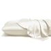 Etta Avenue™ Idina Premium Pillowcase- 100% Natural Protein Fiber, Durable, Breathable, Skin-Help, Hair-Friendly Silk/Satin in White | Wayfair