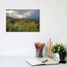 East Urban Home Brockway Sunbeams by Kevin Clifford - Wrapped Canvas Gallery-Wrapped Canvas Giclée Canvas | 8" H x 12" W x 0.75" D | Wayfair