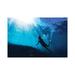 East Urban Home Silhouetted Snorkeller w/ Underwater Sun Rays by James Vodicka - Wrapped Canvas Photograph Canvas in Black/Blue/White | Wayfair