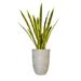 Artificial Faux Real Touch 3.58 Ft Snake Plant Sansevieria In Planter - Green - 43" Tall