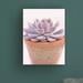 Dakota Fields Succulent House Plant III by Cora Niele - Wrapped Canvas Photograph Canvas in Brown/Gray/White | 19 H x 14 W x 2 D in | Wayfair