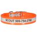 Reflective Waterproof and Ordor-Proof Oragne Dog Collars with Personalized Engraving, Medium, Orange