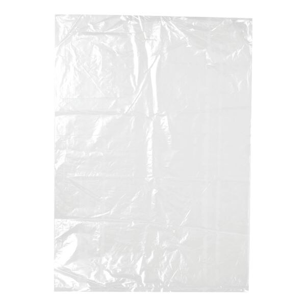 Papstar 500 Flachbeutel transparent - 40 x 28 cm transparent Image