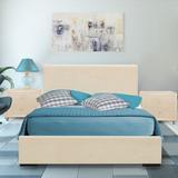 Hindes Faux Leather Upholstered Platform Bedroom Set (Multiple Colors)
