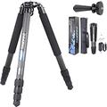 INNOREL NT364C Carbon Fiber Bowl Tripod 160cm/63in, Twist Lock Professional Heavy Duty Camera Tripod Ultra Stable Max Tube 36mm Max Load 25kg, with 75mm Bowl Adapter/Stainless Spikes/Tripod Bag