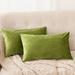 Deconovo Velvet Soft Throw Pillow Covers 2 PCS(Cover Only)