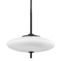 Troy Lighting Fallon 13 Inch Large Pendant - F7775-SBK