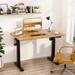 Futzca Height Adjustable Electric Standing Desk