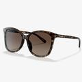 Coach Accessories | Coach Women's Polarized Sunglasses - Nwot | Color: Brown | Size: Os