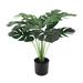 Primrue 20" Artificial Split Leaf Philodendron Monstera Plant in Pot Plastic | 20 H x 22 W x 22 D in | Wayfair 0263B3DE69EB41DAA9166EB1EB1CFA36