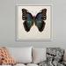 Gracie Oaks Butterfly Study III by Wang Melissa - Print on Canvas in Brown | 38 H x 38 W x 2 D in | Wayfair 1914875B4B0142279435E57F043DF8F2