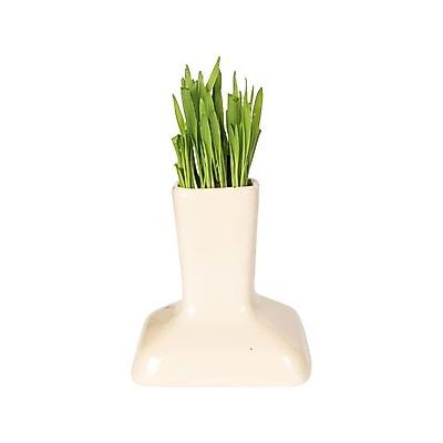 Miaustore Cat Grass Cup, Milk