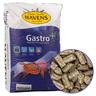 HAVENS Gastro+, Pellets für Pferde mit Magenproblemen & Stress, 20kg