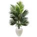 4.5' Kentia Palm Tree in White Oval Planter - 33"D x 33"W x 54"H