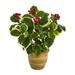 14" Variegated Holly Leaf Artificial Plant in Ceramic Planter (Real Touch)