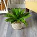 1.5' Agave Succulent Artificial Plant in White Planter