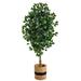 6' Ficus Artificial Tree with Natural Trunk in Handmade Natural Cotton Planter - 24"W x 24"D x 72"H