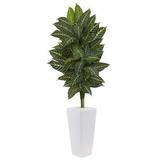 4' Zebra Plant in White Tower Planter - 17"W x 17"D x 48"H