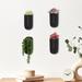 Winston Porter Anikka 4-Piece Ceramic Hanging Planter Set Ceramic in Black | 5.9 H x 2.55 W x 2.85 D in | Wayfair 27DA811635774B289D78444E335E445F