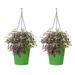 Winston Porter Enameled 2 Piece Hanging Planter Set Metal in Green | 9 H x 9 W x 9 D in | Wayfair 8EEB4687D5BC46259342A1FE15A3C2C6