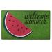 Schrum 30" Welcome Summer Watermelon Coir Doormat Coir in Brown/Green Laurel Foundry Modern Farmhouse® | 30 H x 18 W x 0.63 D in | Wayfair