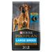 High Protein, Digestive Health Chicken & Rice Formula Large Breed Dry Dog Food, 34 lbs.