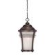 Acclaim Lighting Vero 18 Inch Tall Outdoor Hanging Lantern - 39626BC