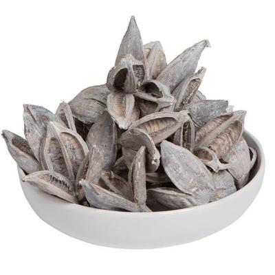 Vickerman 656358 - 3-4" White Wash Sora Pods 25Pk (H2SORB900-1) Dried and Preserved Pods