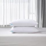 Martha Stewart Feathers Medium Support Pillow Cotton Blend in White | 20 H x 36 W x 2 D in | Wayfair MS200525K