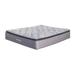 Signature Design by Ashley Curacao 13 Inch Plush Pillowtop Mattress with Head-Foot Model-Better Adjustable Bed Frame