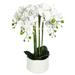 Cream White Artificial Phalaenopsis Orchid Flower Arrangement 6 Stem in Textured Cream Ceramic Pot 20in